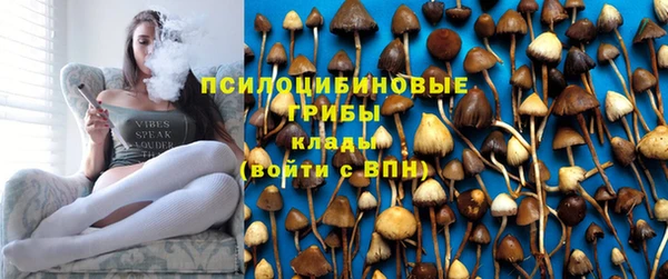 ешки Арсеньев