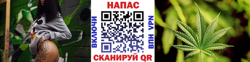 Бошки Шишки сатива Шелехов